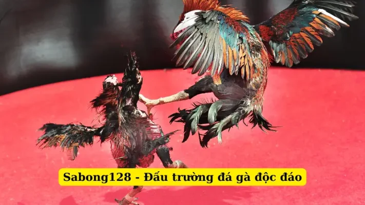 Sabong128 - Đấu trường đá gà độc đáo